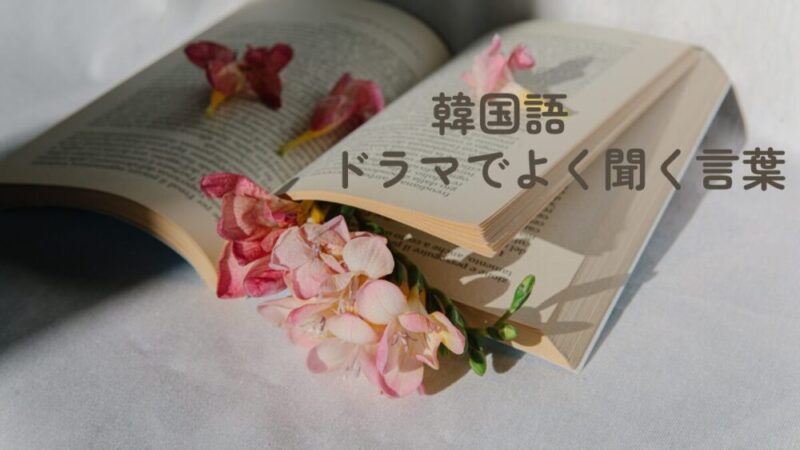 【韓国語】ドラマでよく聞く言葉