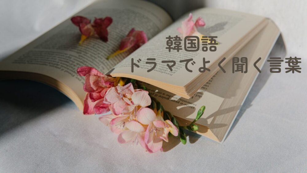【韓国語】ドラマでよく聞く言葉